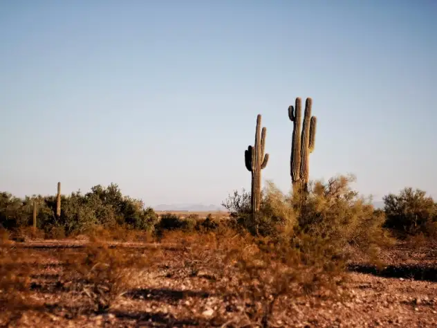 Arizona