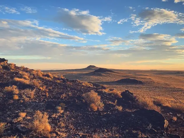 New Mexico