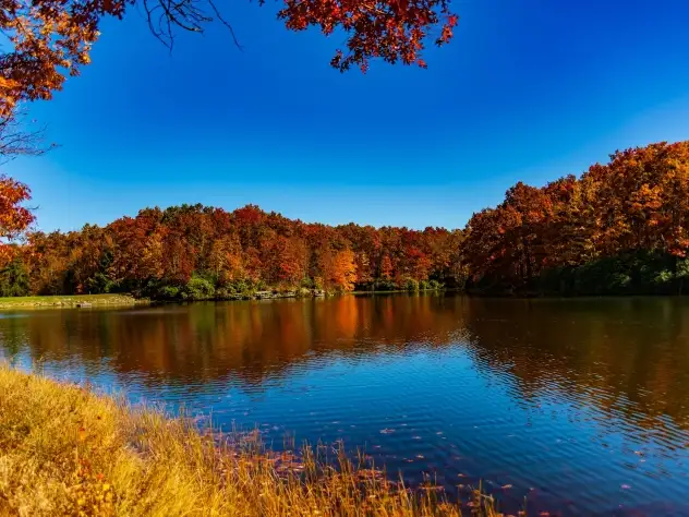 West Virginia